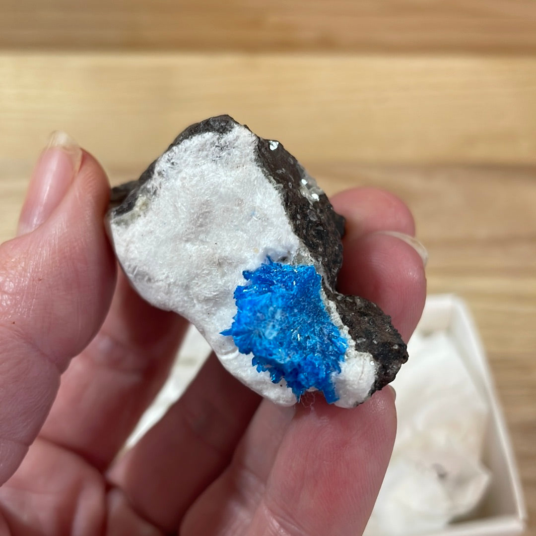 Cavansite Specimen Grade