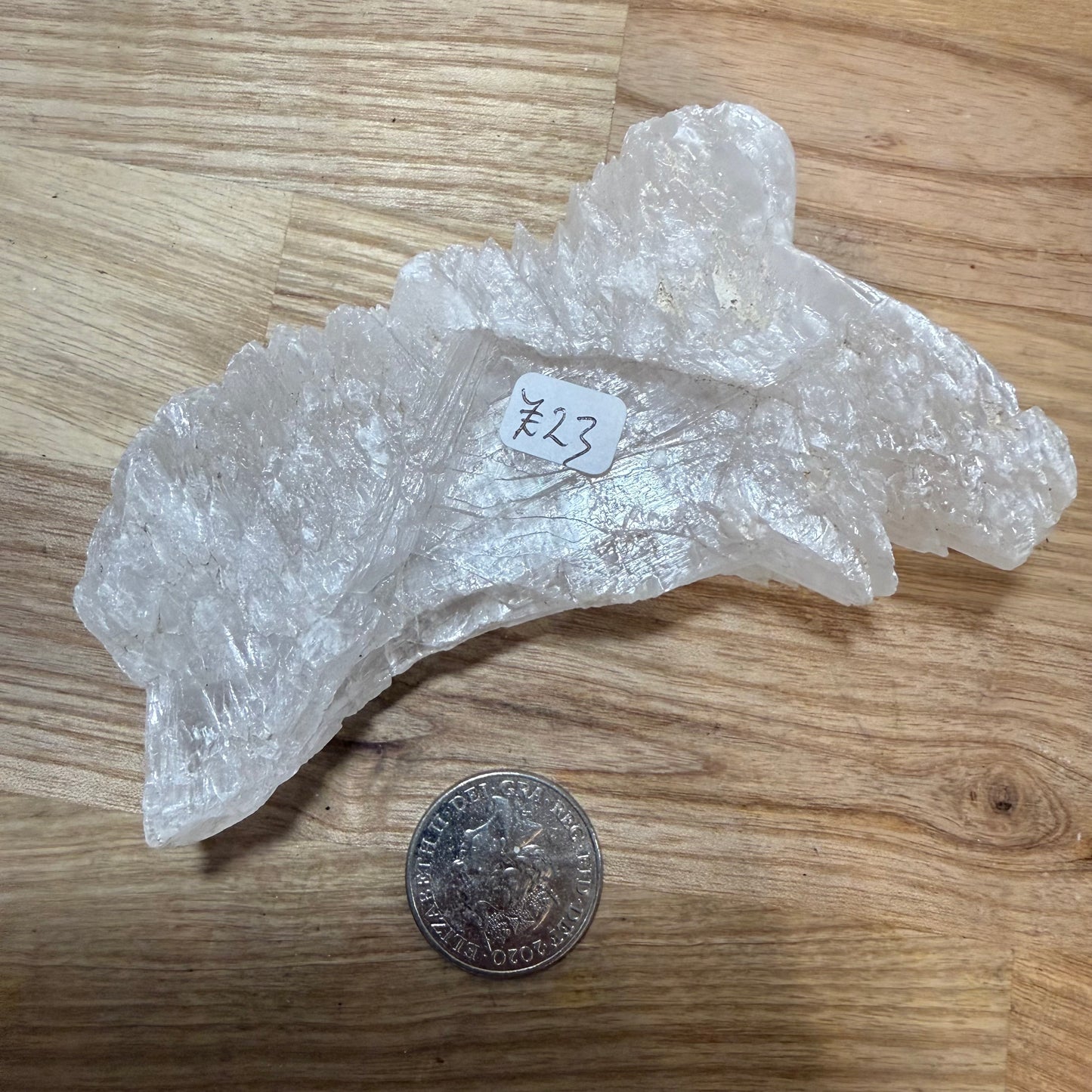 Fishtail Selenite - FT23