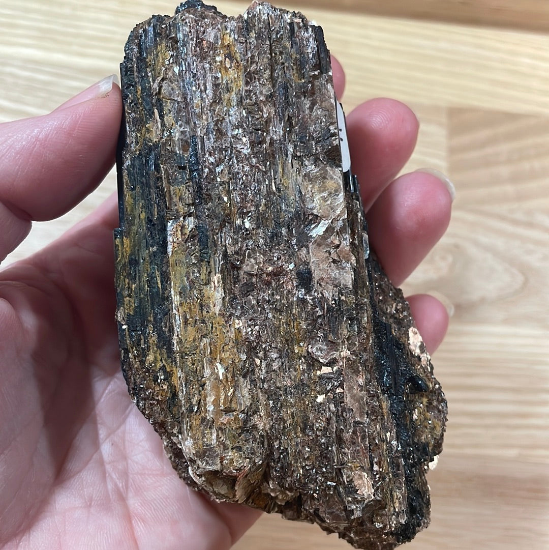 Black Tourmaline specimens with Mica
