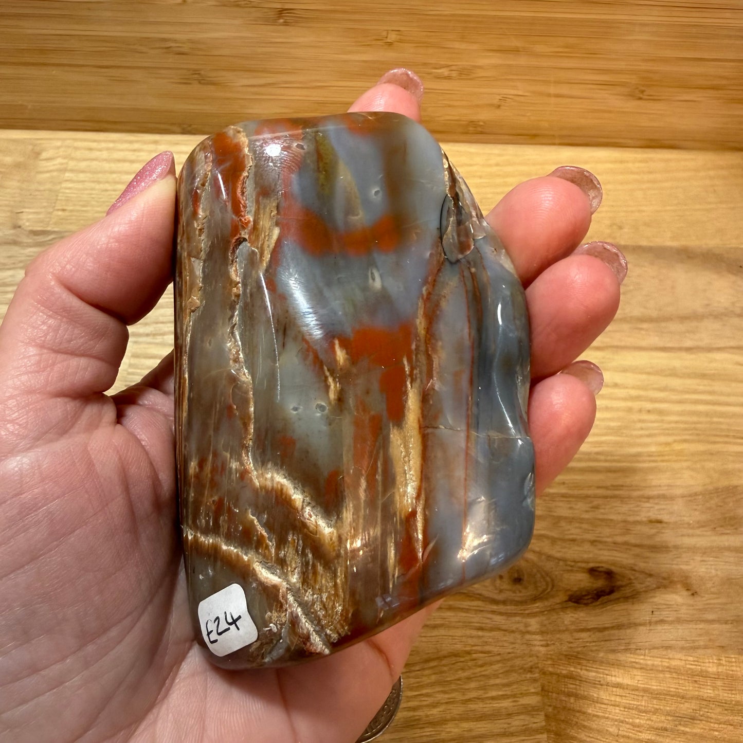 Fossilised Wood Polished Piece