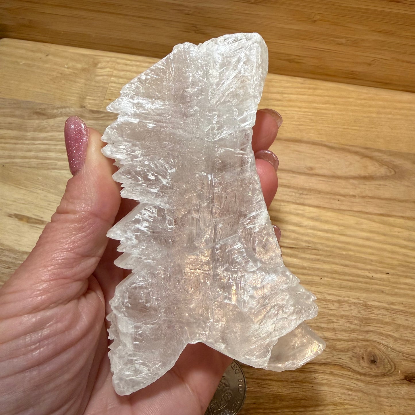 Fishtail Selenite - FT23
