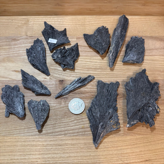 Black Kyanite - Raw pieces
