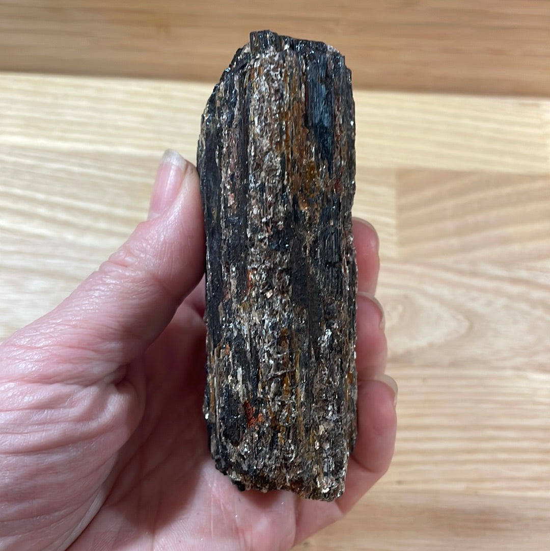 Black Tourmaline specimens with Mica