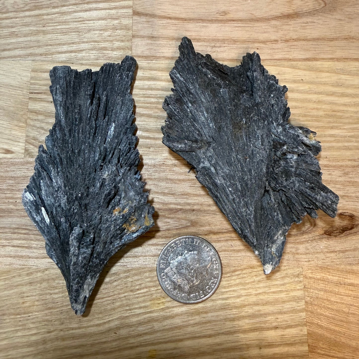 Black Kyanite - Raw pieces