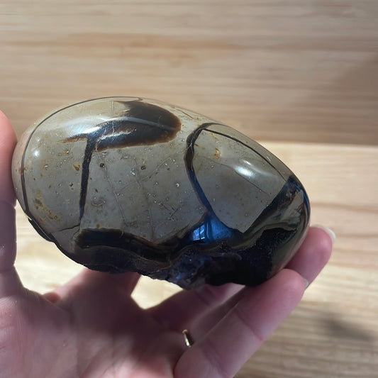 Septarian Raw & Polished Display Piece