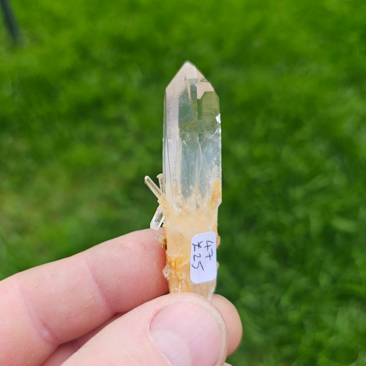 Blue Mist Lemurian Quartz Points