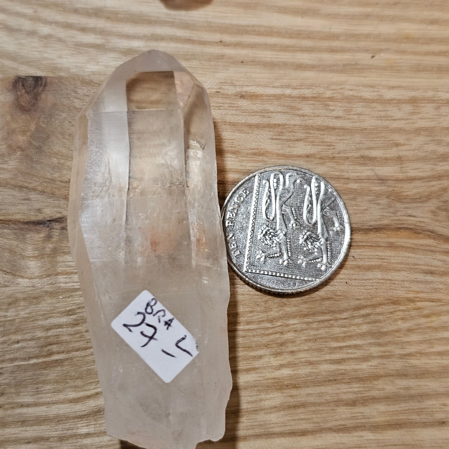 Lemurian Quartz - Colombian Blades of Light