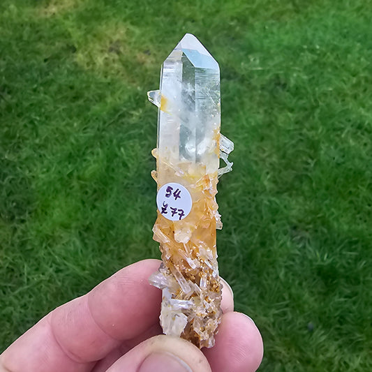 Rare Blue Mist Collectors Piece