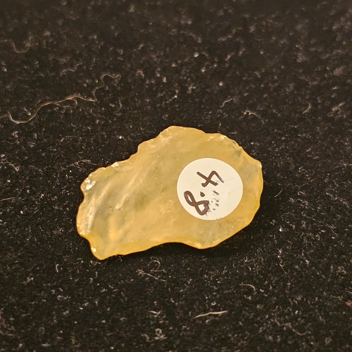 Libyan Desert Glass