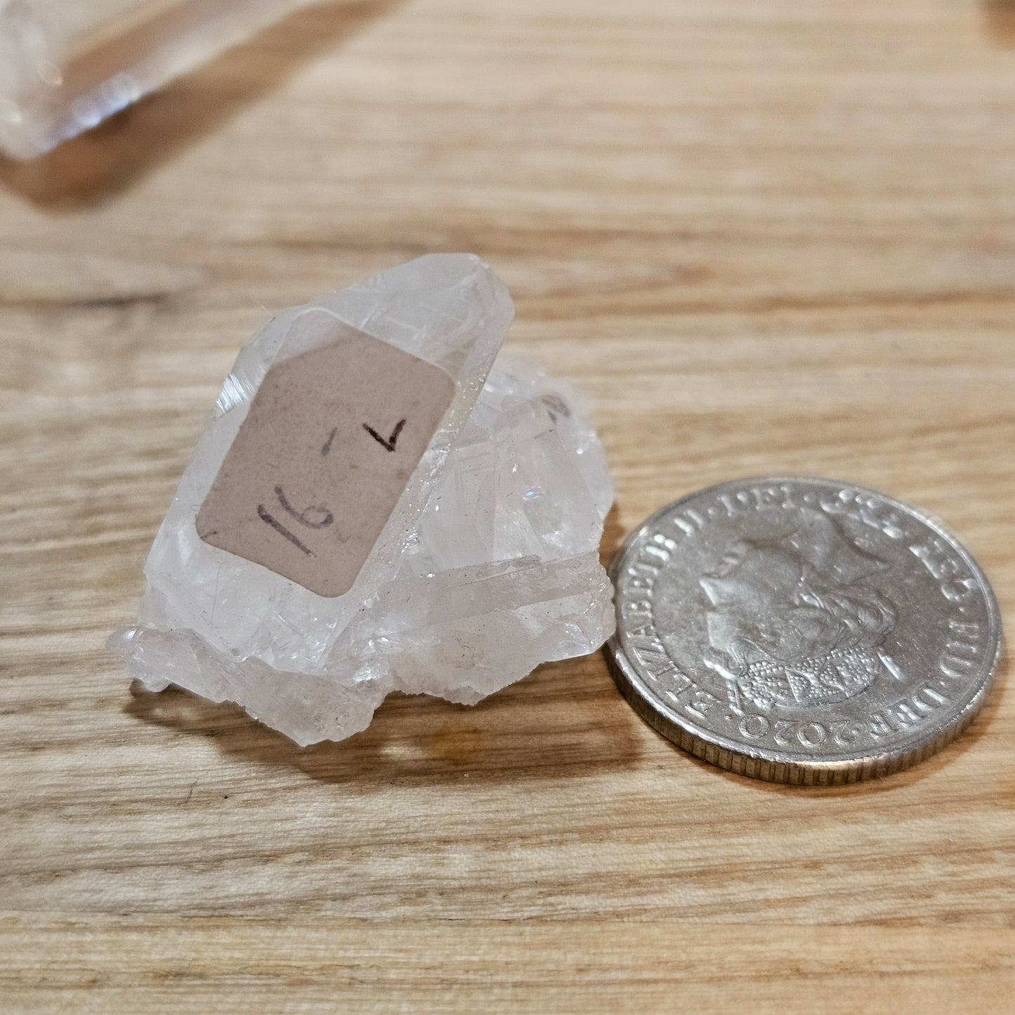 Lemurian Quartz - Colombian Blades of Light