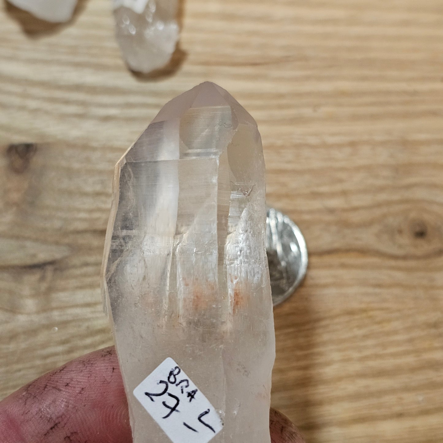 Lemurian Quartz - Colombian Blades of Light