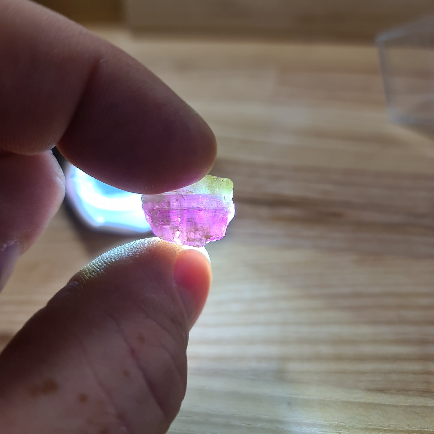 Green and Watermelon Tourmaline