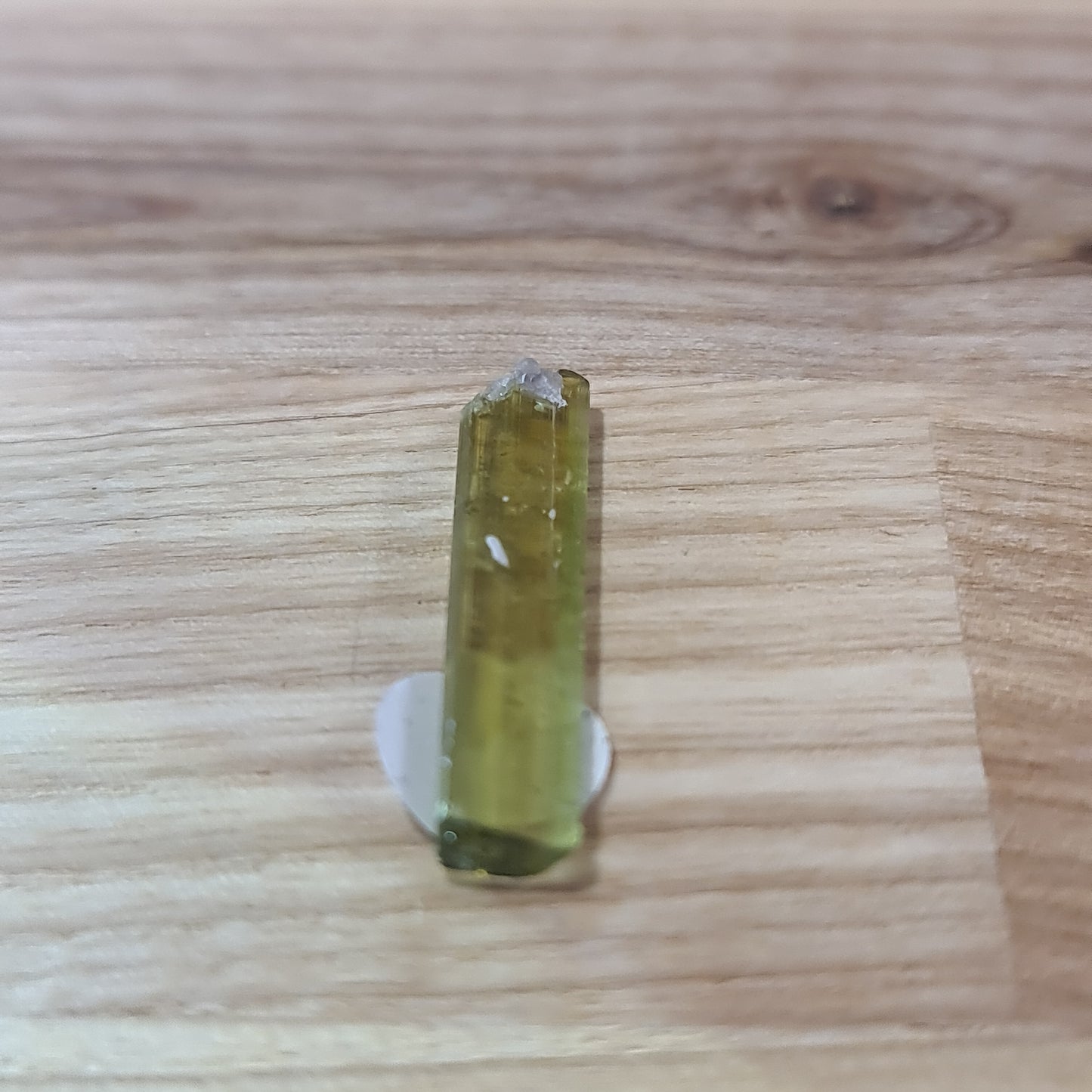 Green and Watermelon Tourmaline