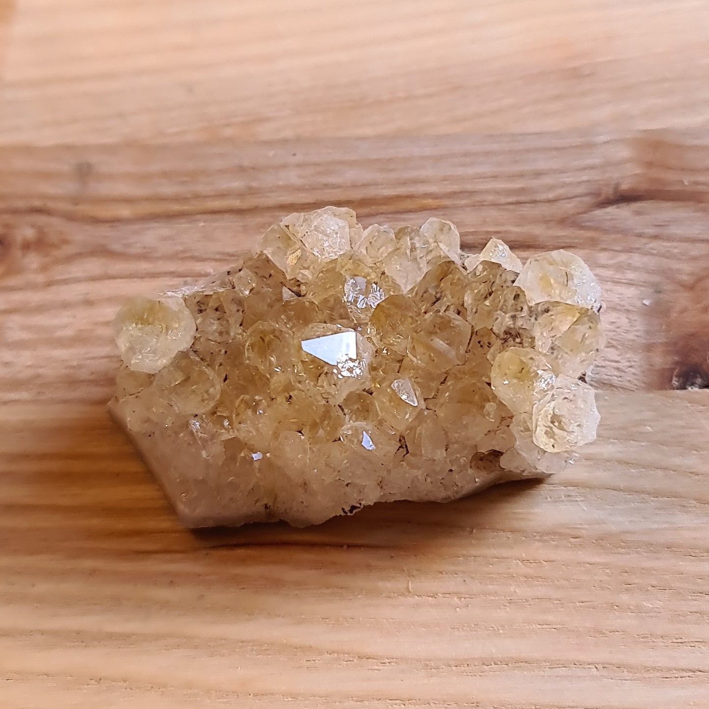 Citrine Druzies / Clusters