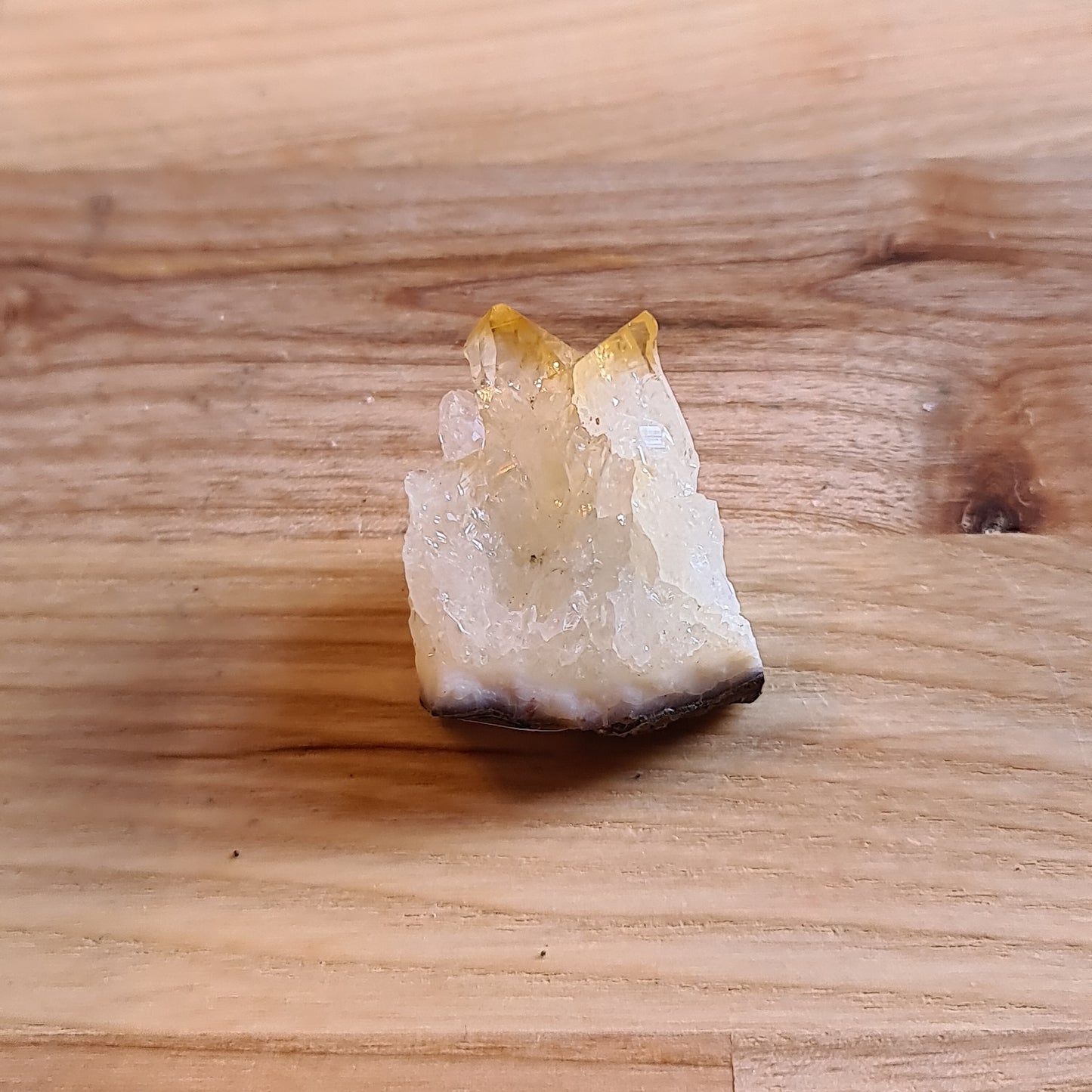 Citrine Druzies / Clusters
