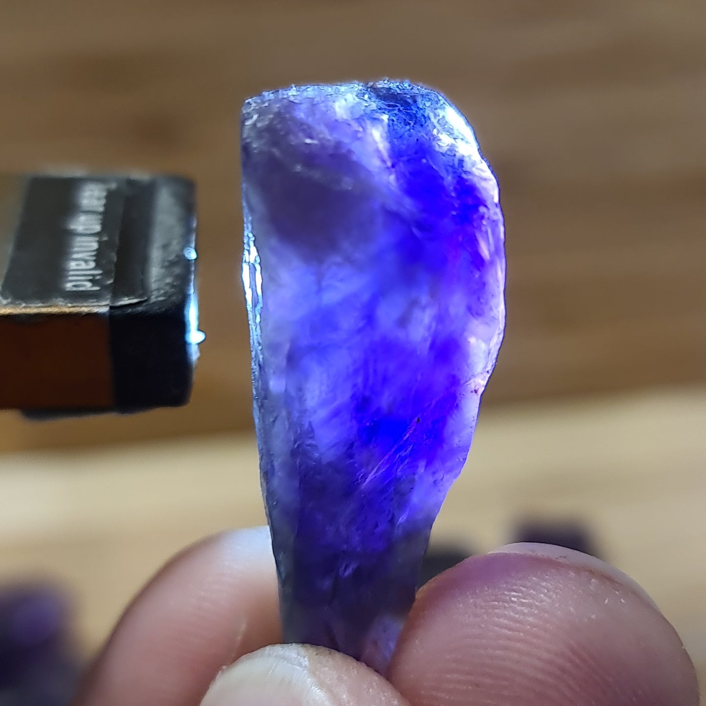 Amethyst - Raw dog teeth
