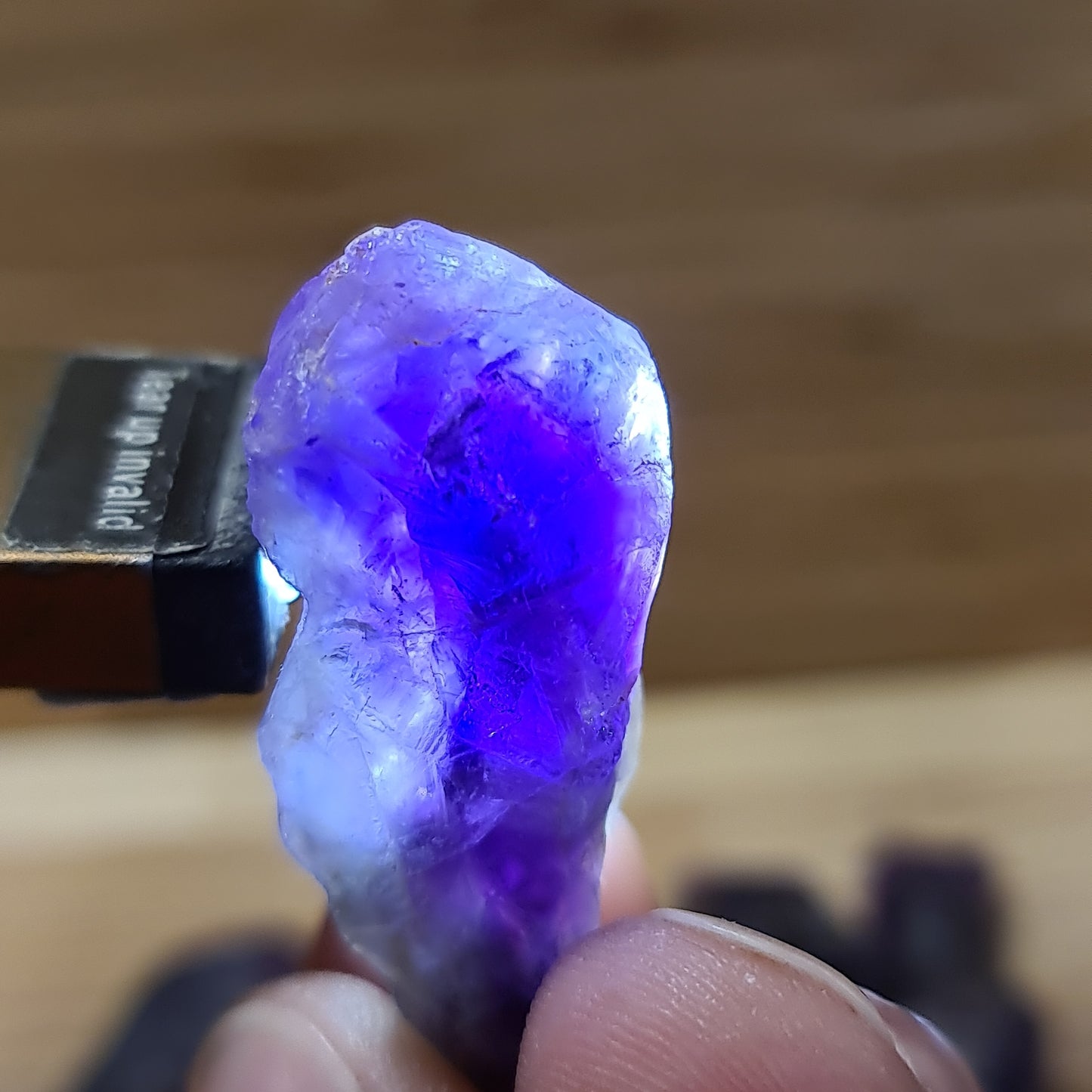 Amethyst - Raw dog teeth