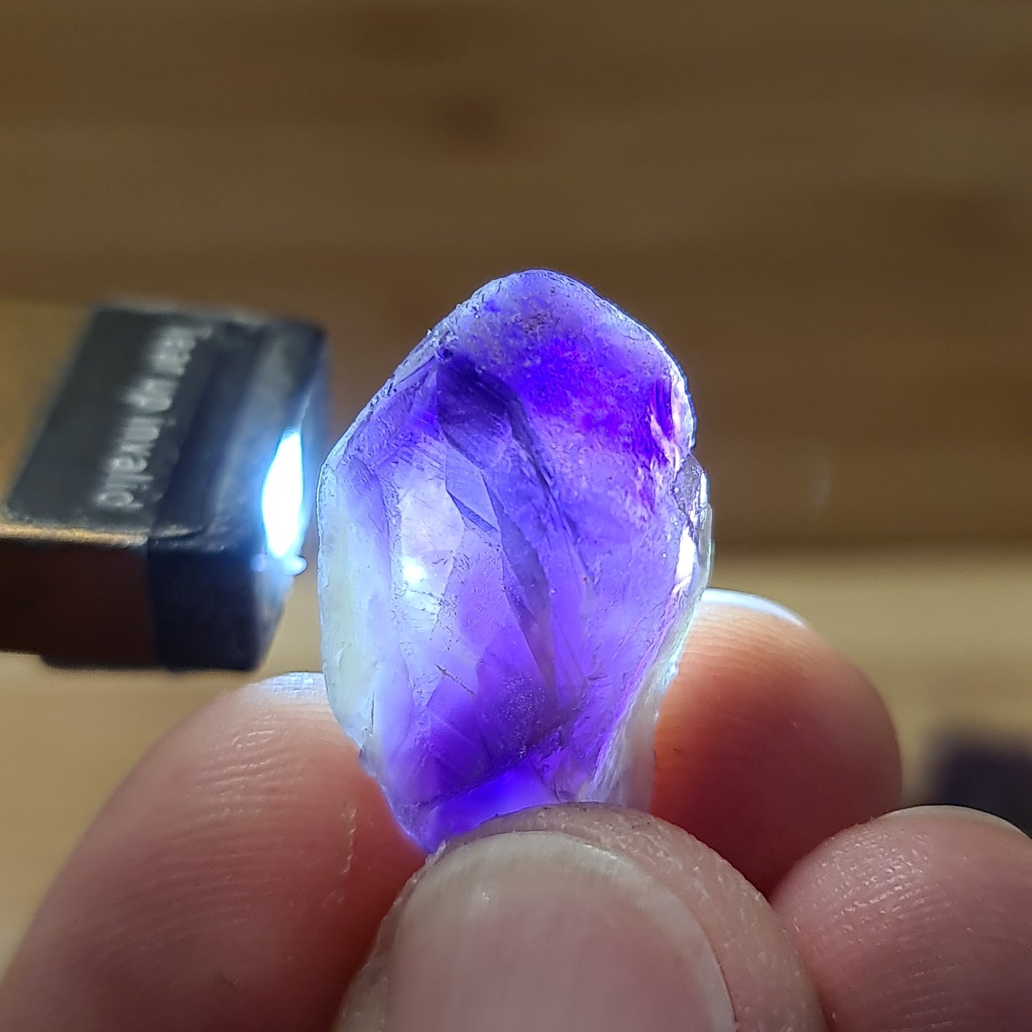 Amethyst - Raw dog teeth