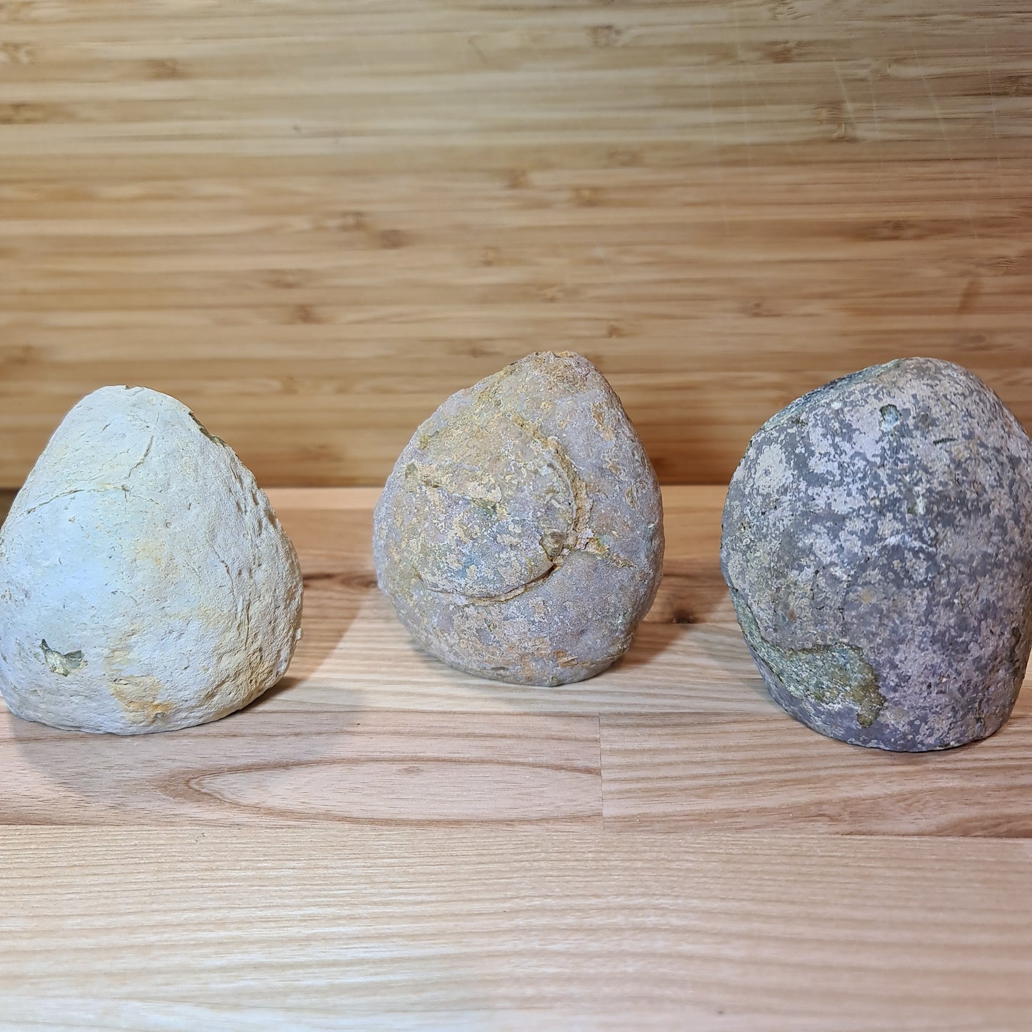 Agate Cut Base Geodes
