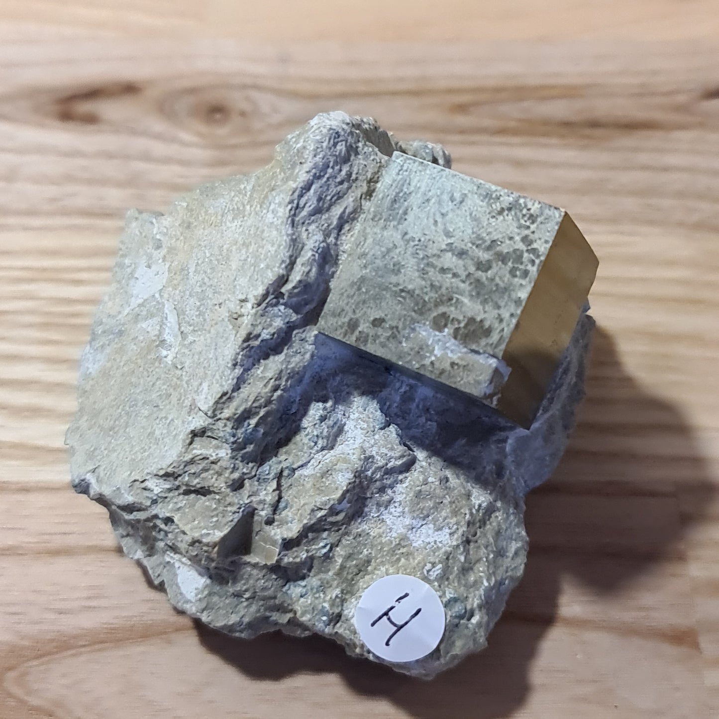 Pyrite - Cuboid on matrix