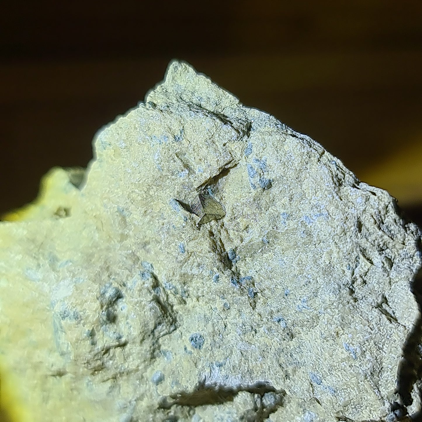 Pyrite - Cuboid on matrix