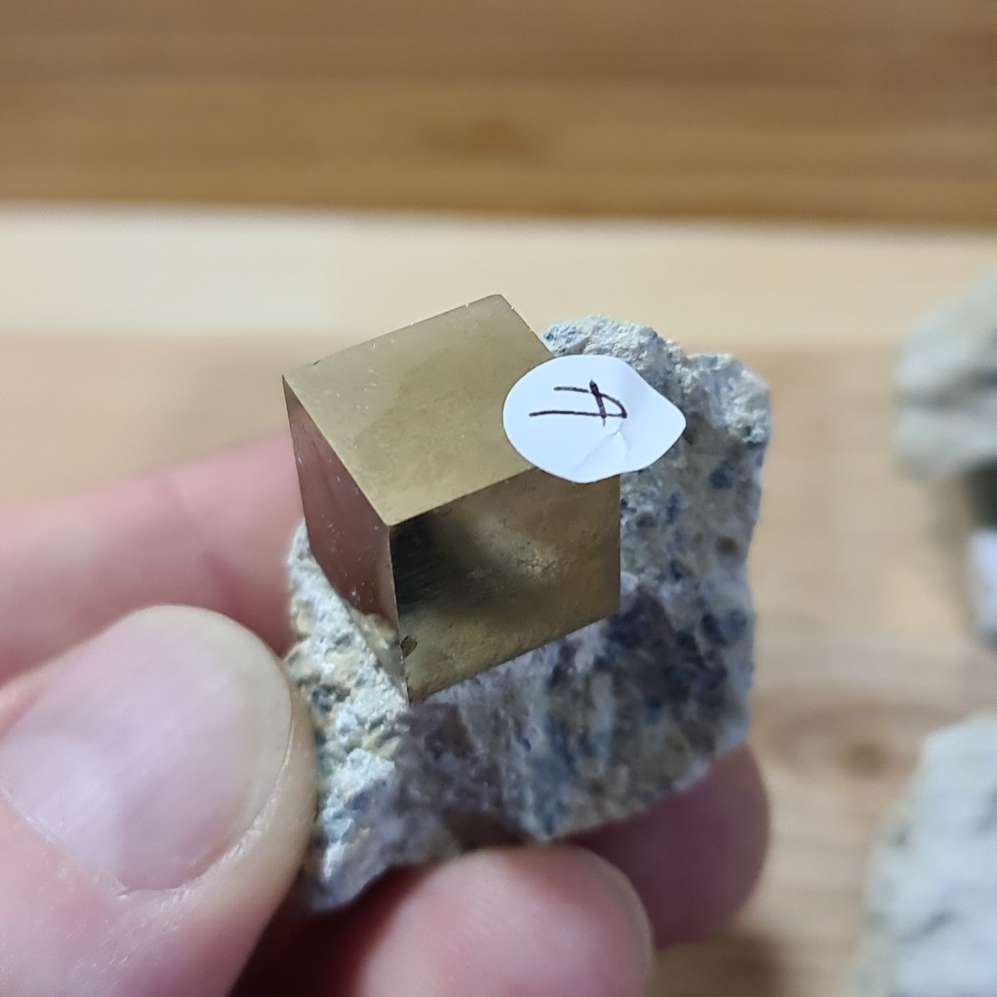 Pyrite - Cuboid on matrix