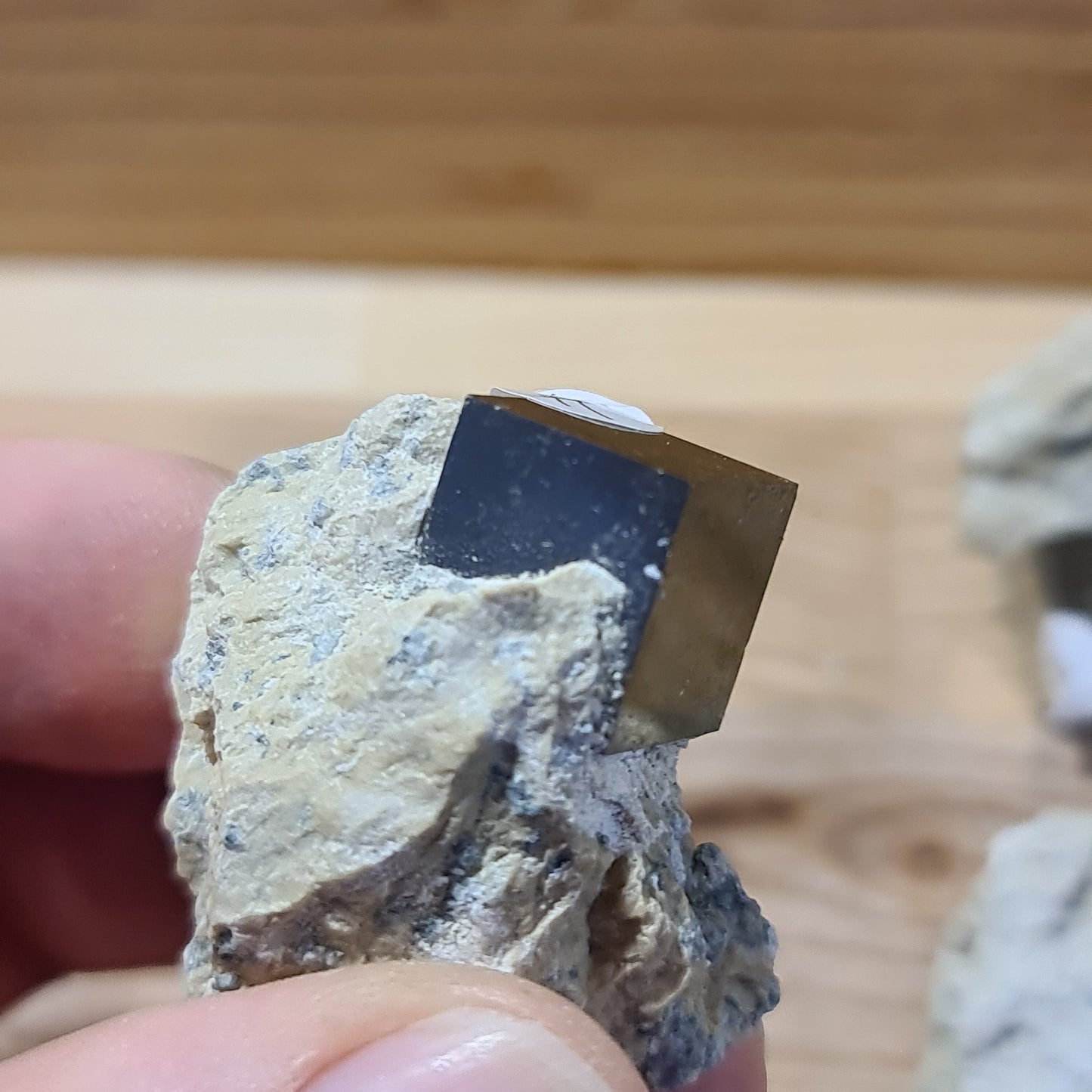 Pyrite - Cuboid on matrix