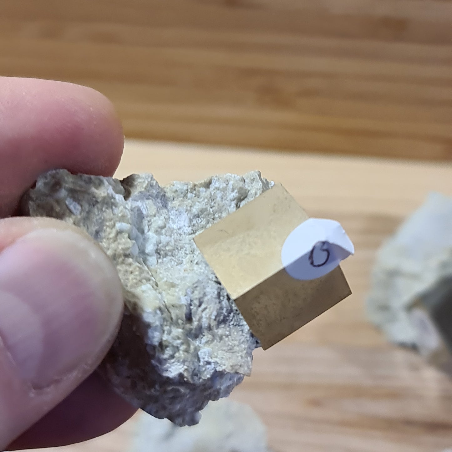 Pyrite - Cuboid on matrix