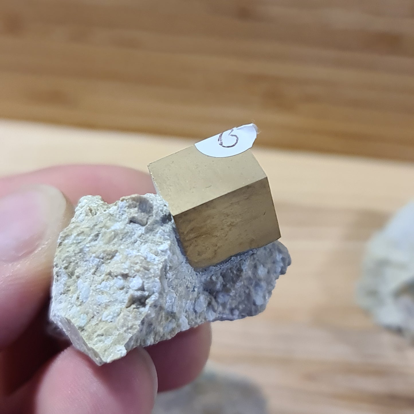 Pyrite - Cuboid on matrix