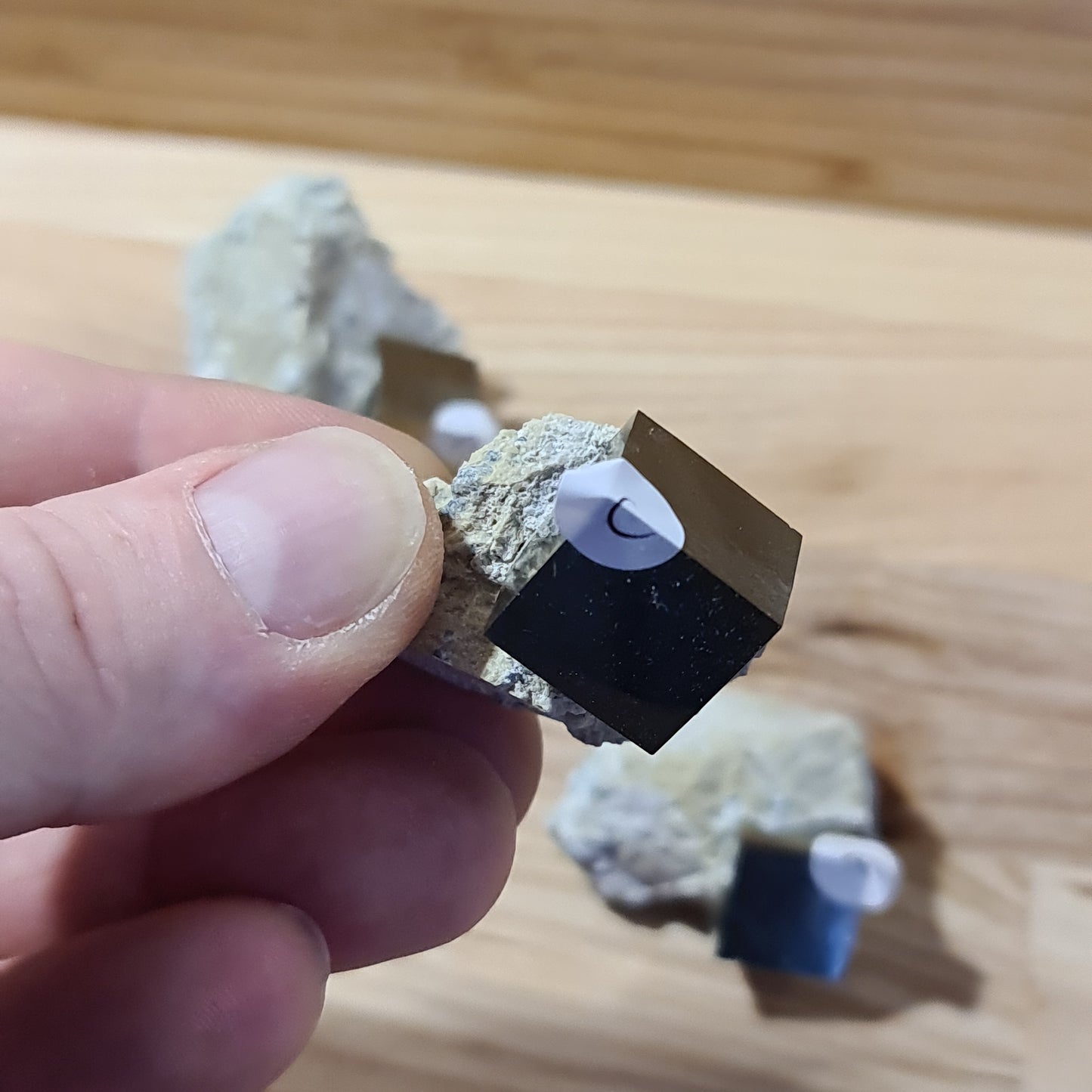 Pyrite - Cuboid on matrix