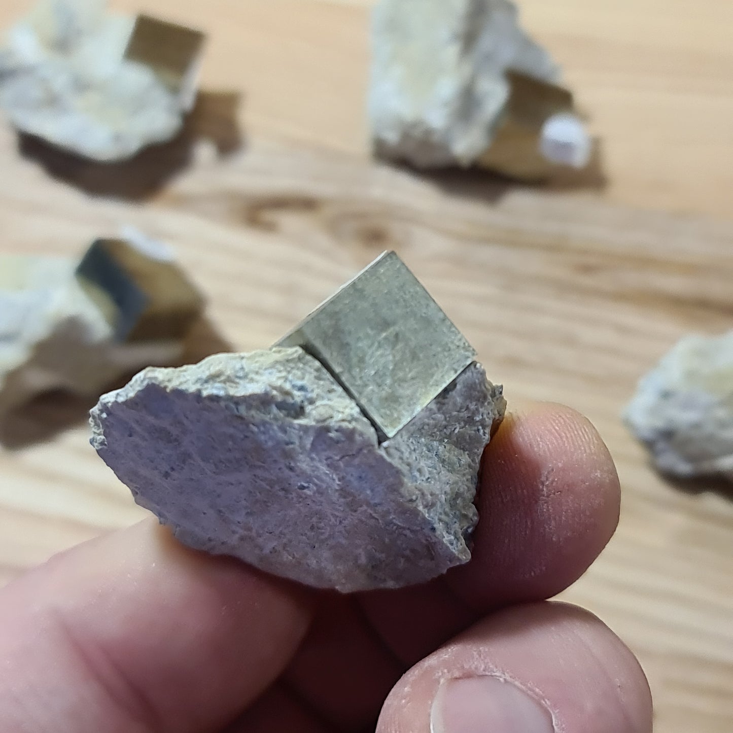 Pyrite - Cuboid on matrix