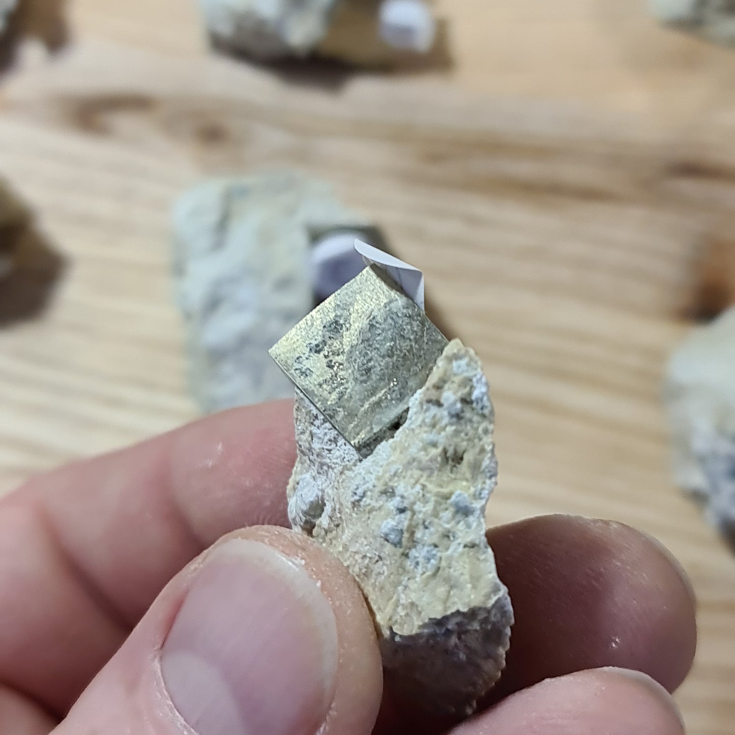 Pyrite - Cuboid on matrix