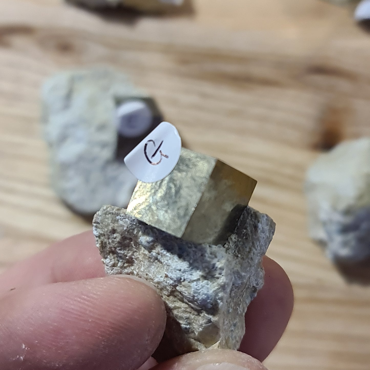 Pyrite - Cuboid on matrix