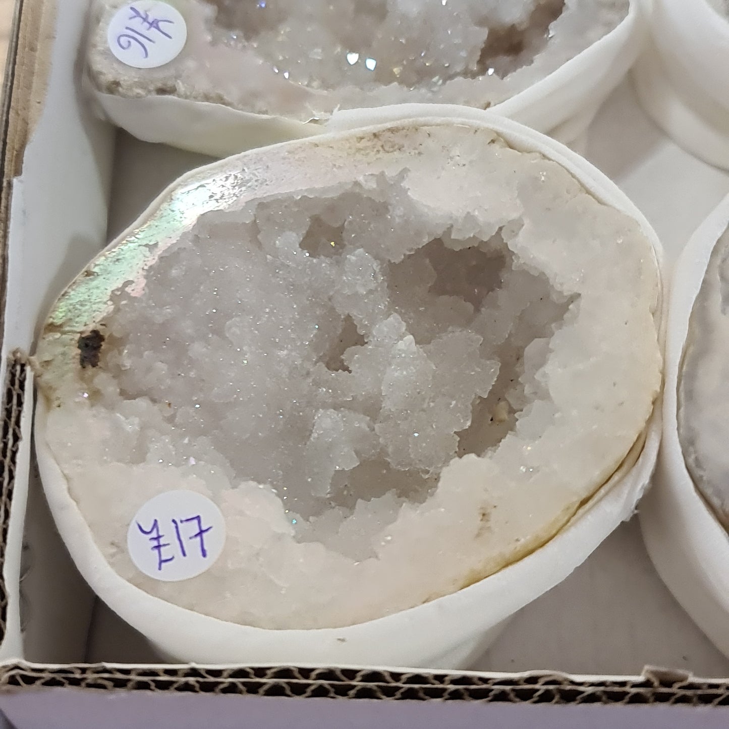 Angel Aura Quartz Geodes Box B