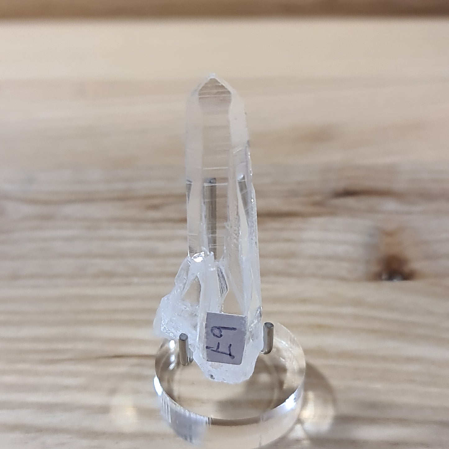 Lemurian Quartz - Colombian Blades of Light