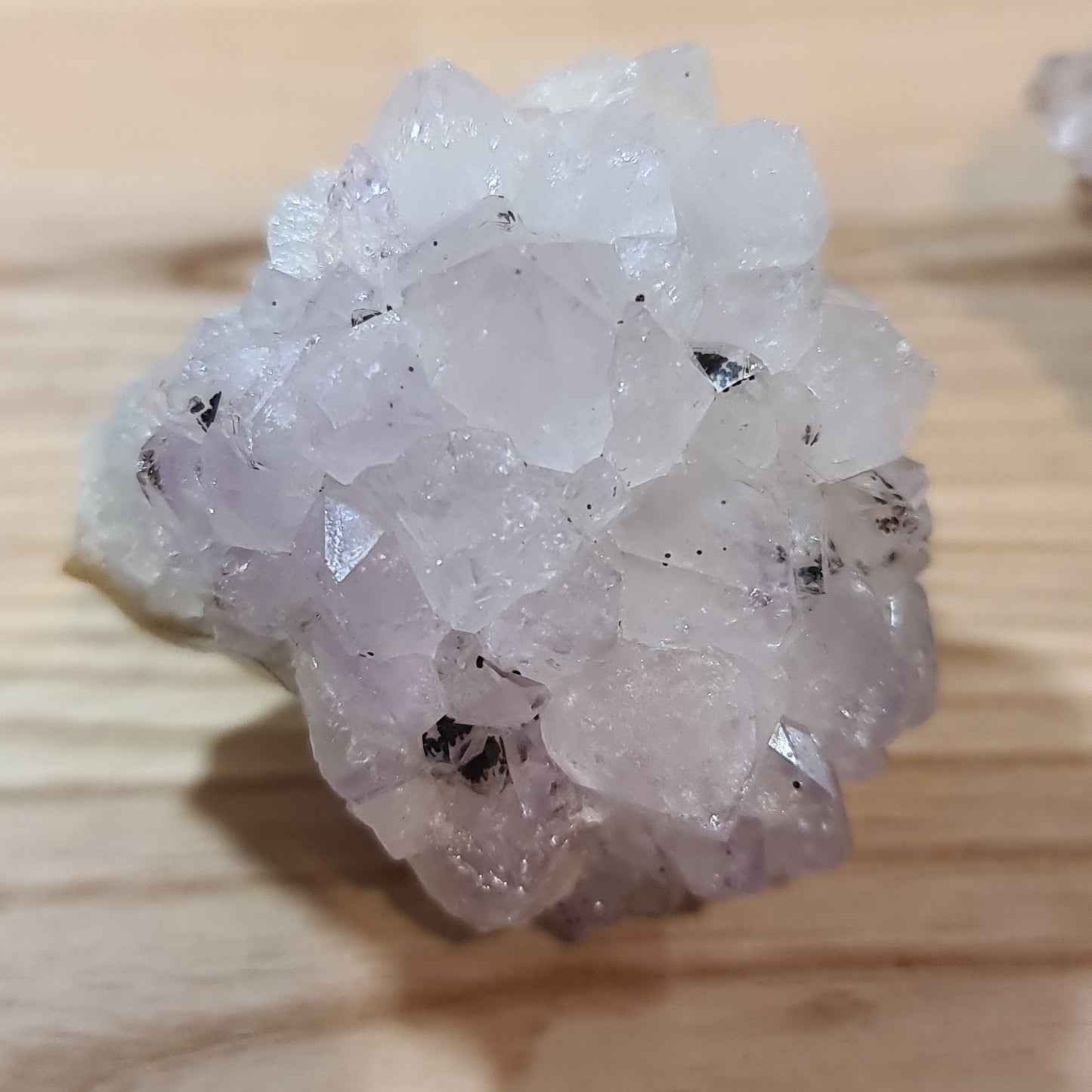 Amethyst Roses