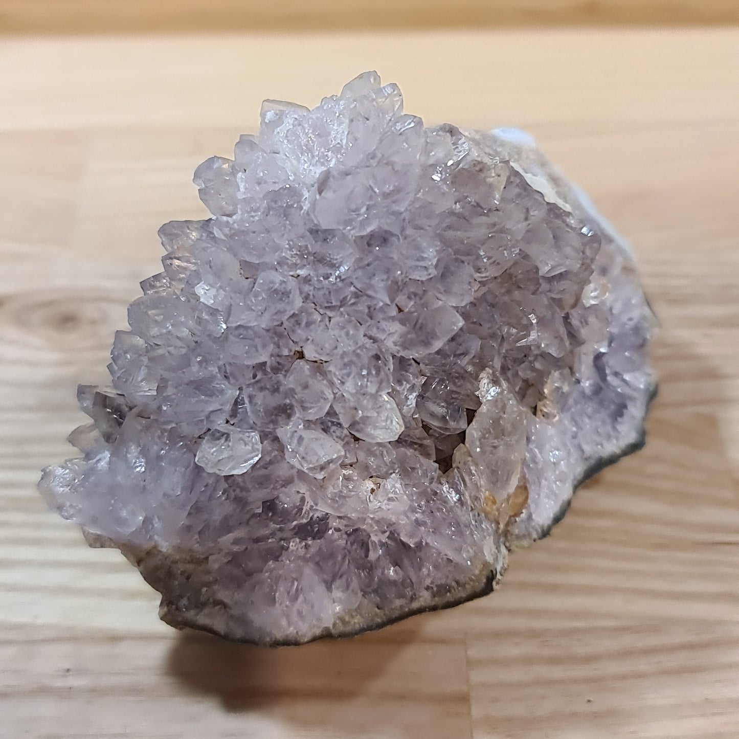 Amethyst Roses