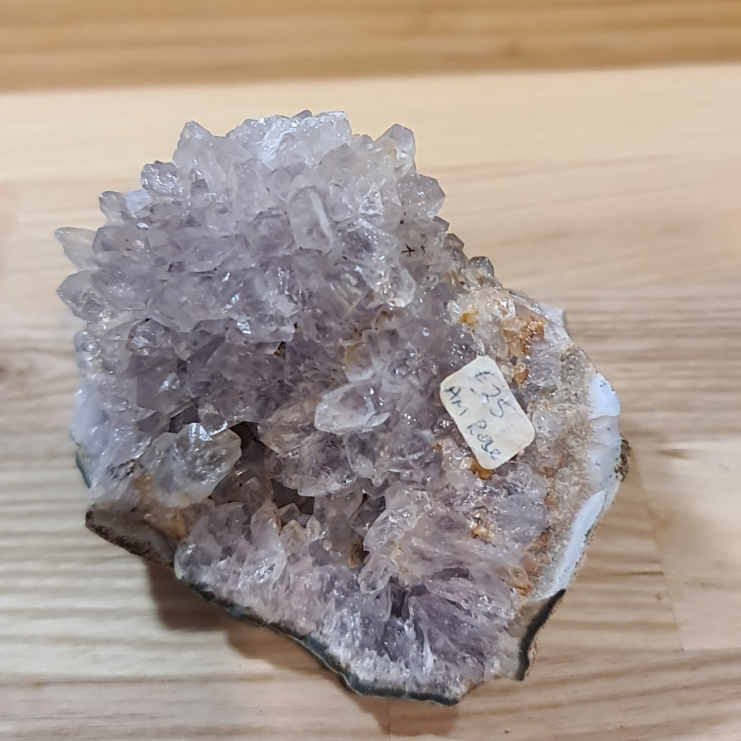 Amethyst Roses