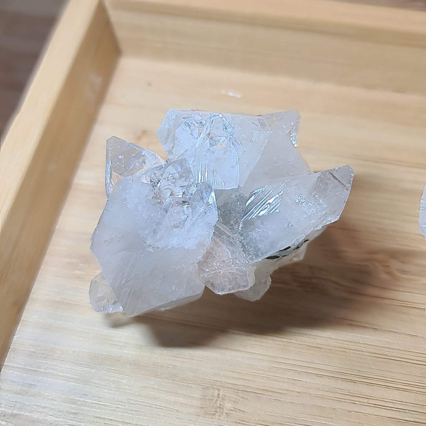 Apophyllites