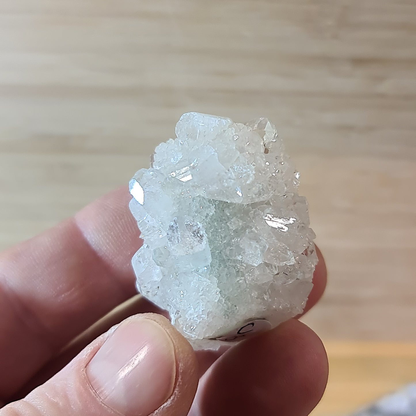 Apophyllites
