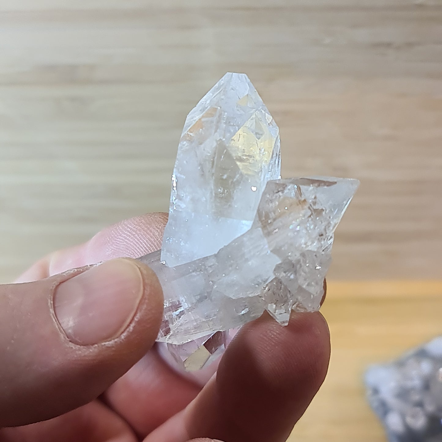 Apophyllites