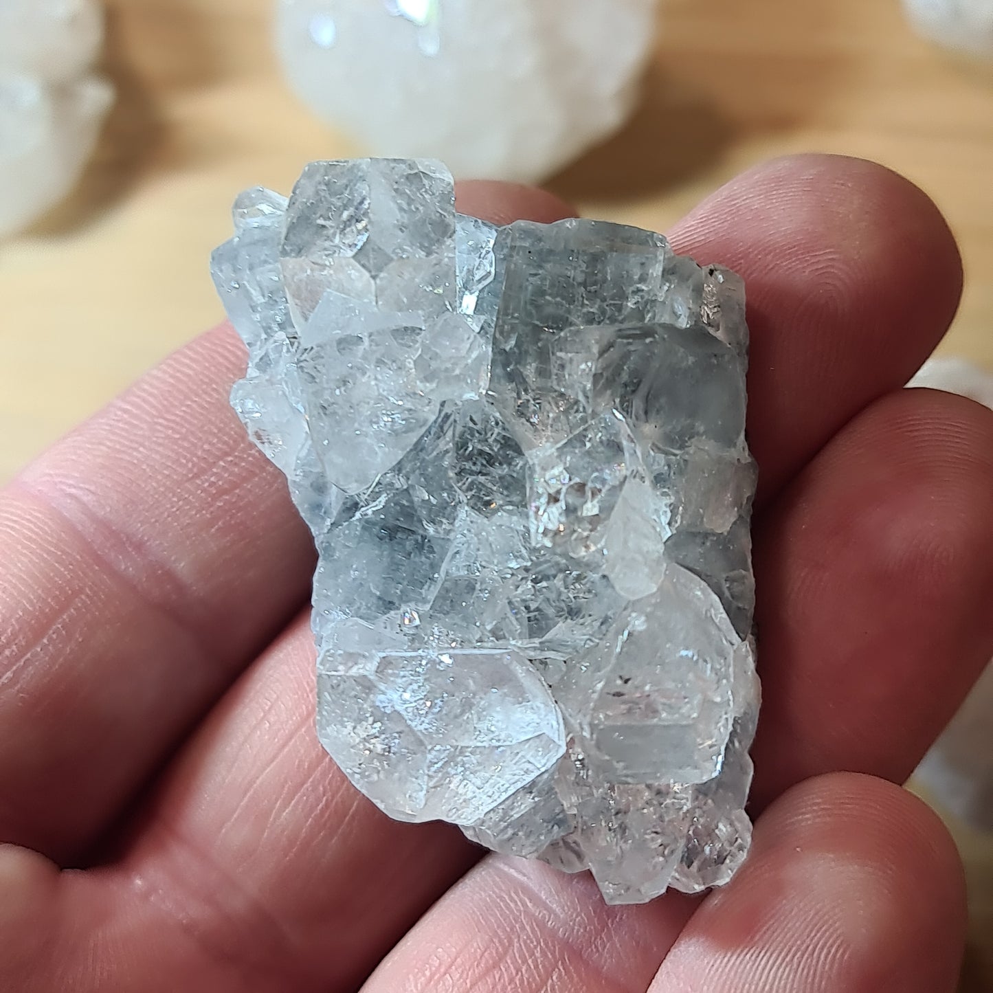 Apophyllites