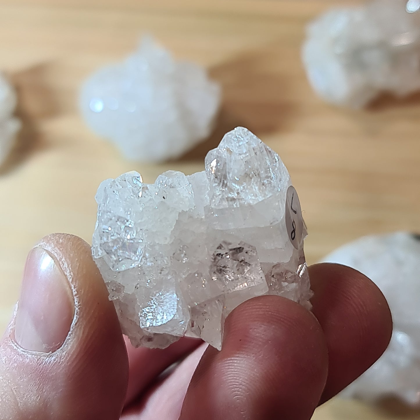 Apophyllites
