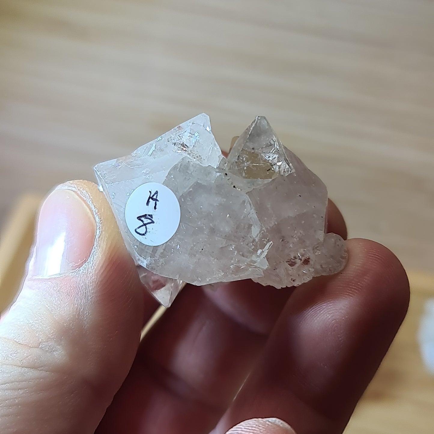 Apophyllites