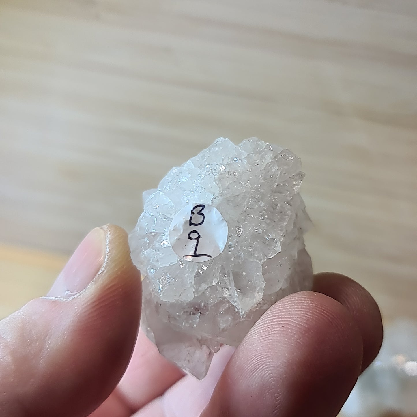 Apophyllites
