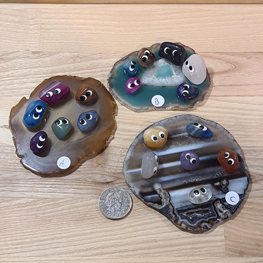 Agate Slice with Crystal Bugs