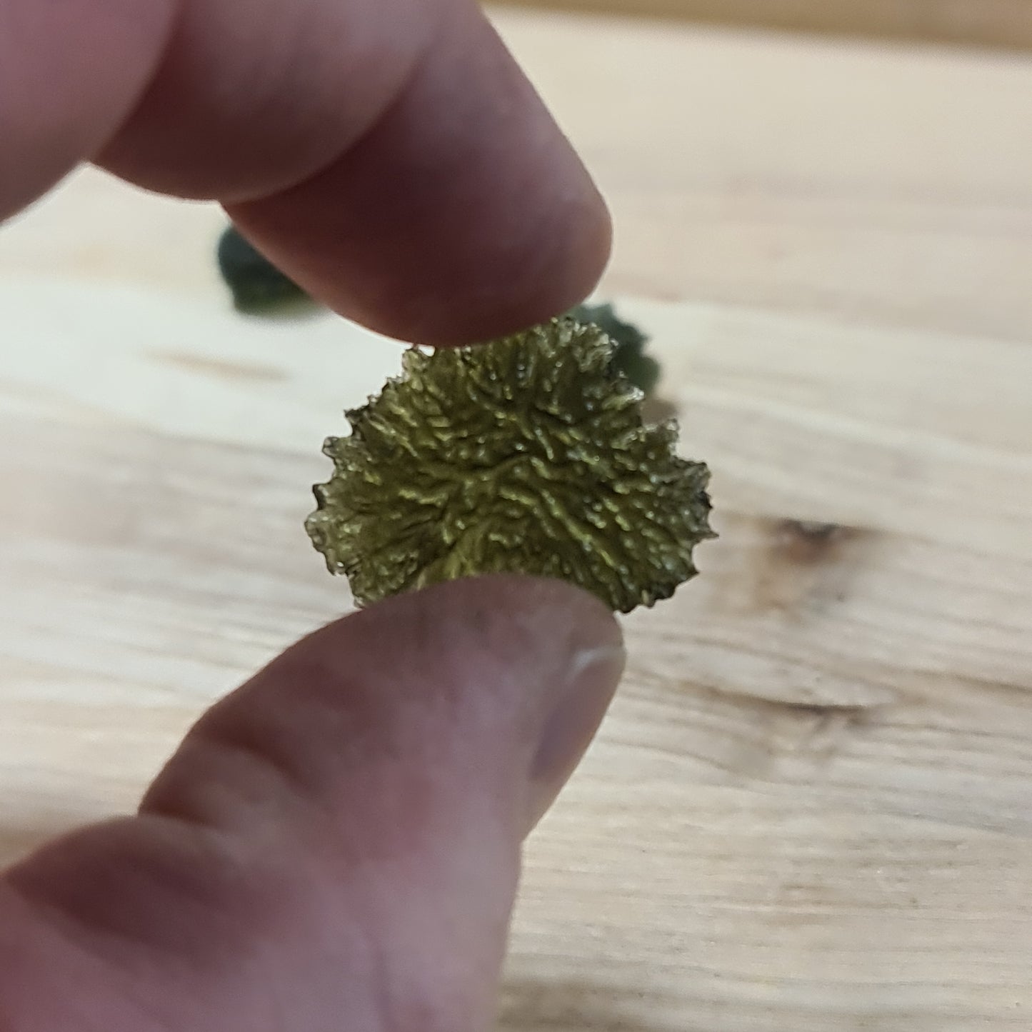 Moldavite - Rare Maly Chlum Variety #1
