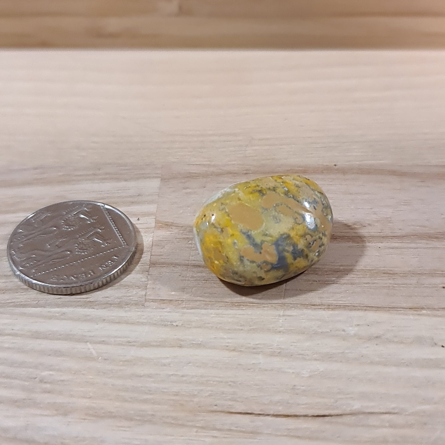 Bumble Bee Jasper