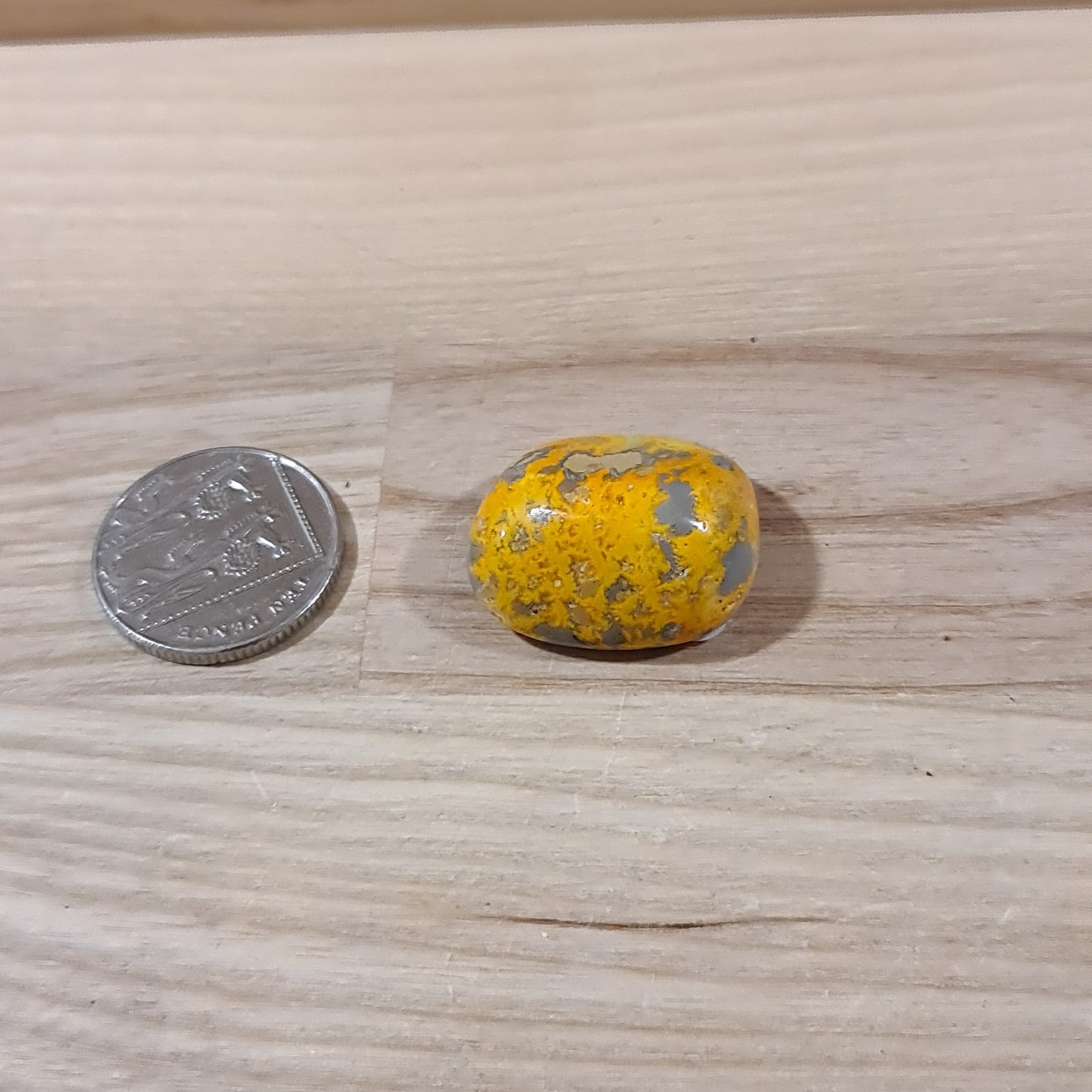 Bumble Bee Jasper