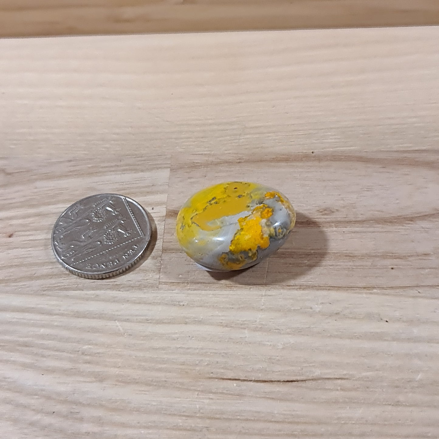 Bumble Bee Jasper